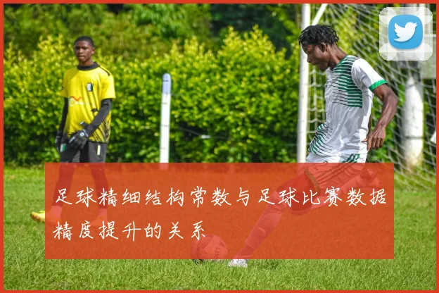 足球精细结构常数与足球比赛数据精度提升的关系