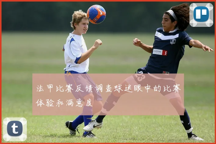 法甲比赛反馈调查球迷眼中的比赛体验和满意度