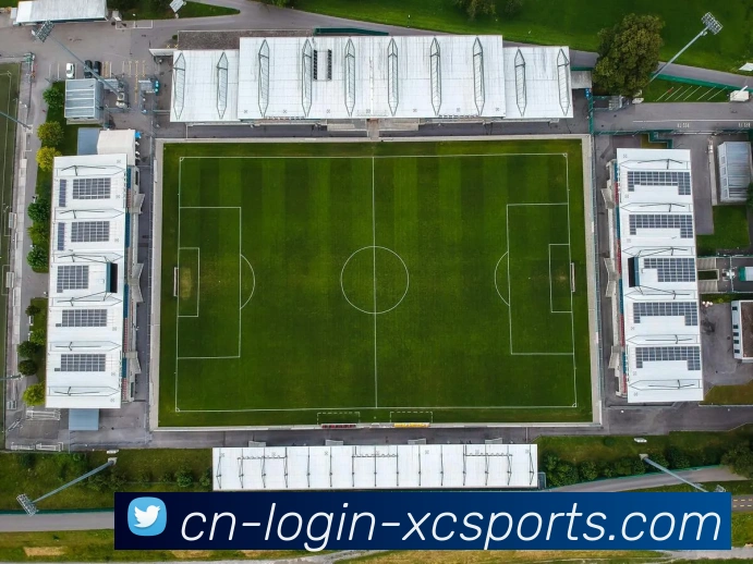 杏彩体育平台生态图